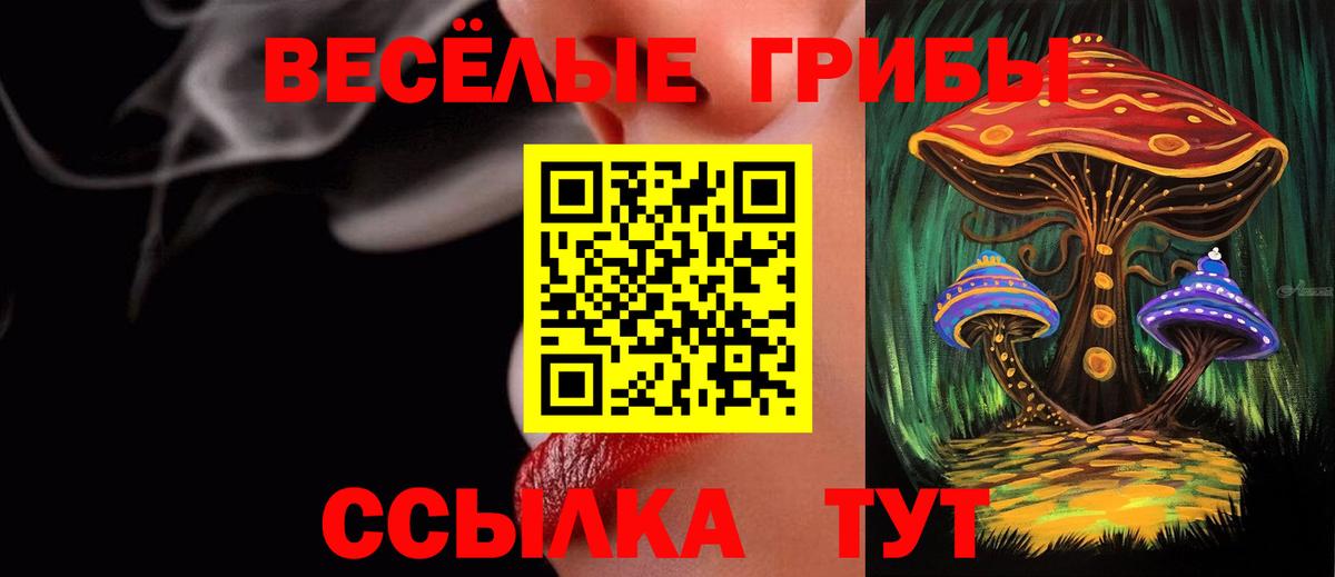Галлюциногенные грибы MAGIC MUSHROOMS  Вход с VPN  Заволжье 